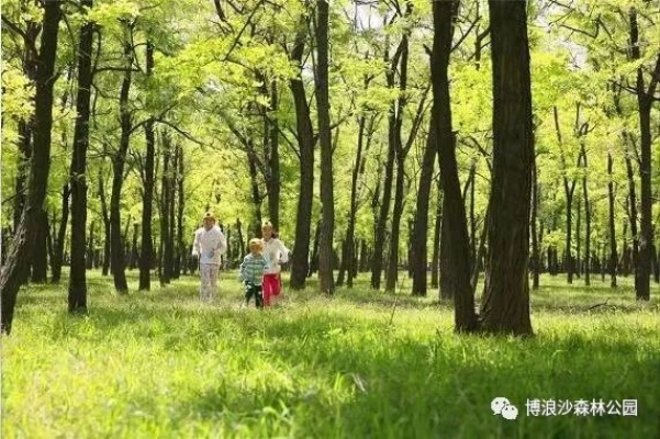 槐林小镇探秘，绝美旅游攻略必收藏！