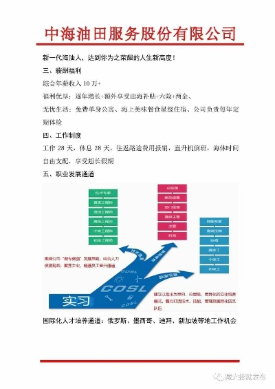 中海海油最新招聘信息深度解读