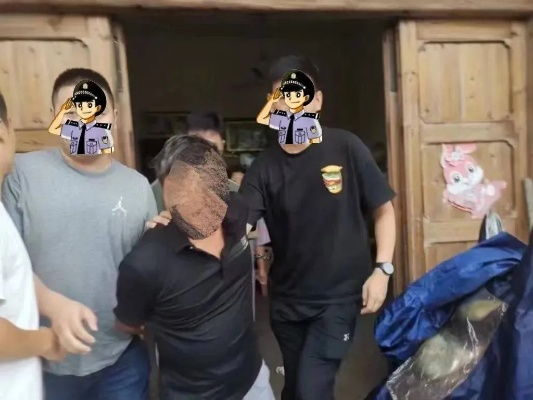 揭秘江西逃犯事件，深度解析背后的真相