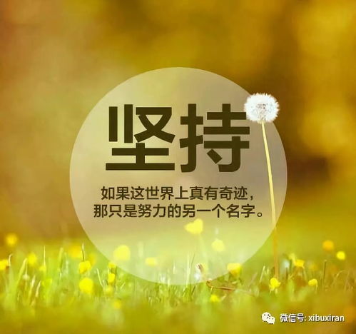 追梦路上的坚持与力量，每日励志语录激励你前行
