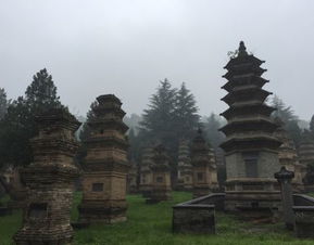 少林塔林探秘，详尽旅游攻略