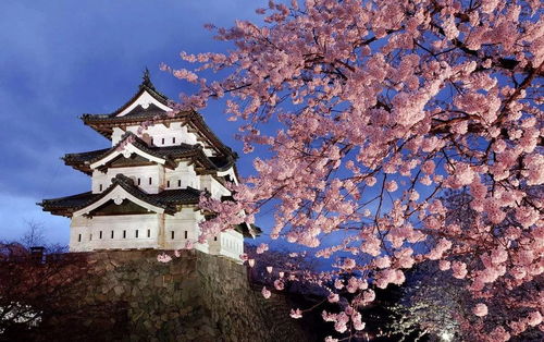 福冈旅游攻略，揭秘日本魅力之所在
