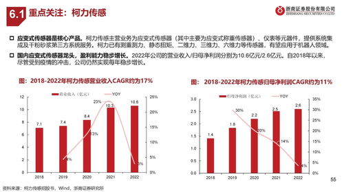 测速仪公司排名大揭秘，行业洞察与深度解析报告