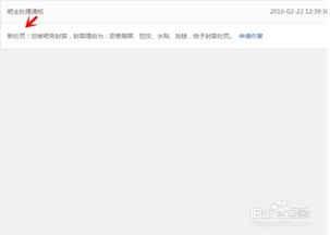 百度收录标准下的吸睛标题，塑造未来之路——百度学校劳动方案助力学生全面发展全新篇章