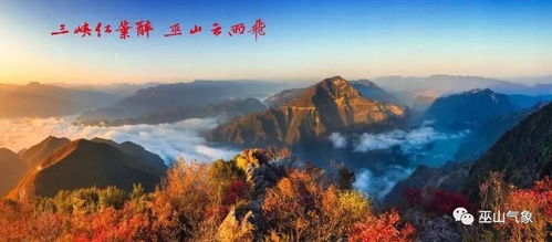 叶则黄河，壮丽之旅攻略大全，带你畅游黄河美景！
