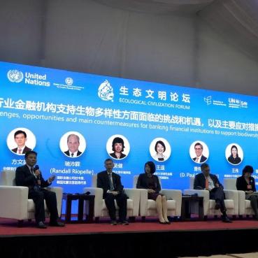 昆明市金融服务公司排名揭秘，洞悉金融生态繁荣的脉络全景