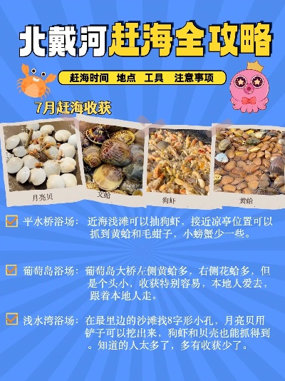 福建北港赶海攻略，最新指南图，带你领略赶海乐趣！