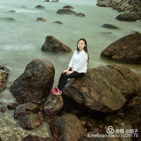 阳西溪头新闻聚焦，地方发展最新动态深度解读