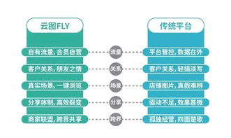 世界排名第三百三十六企业成功之路揭秘，未来展望与发展战略解析