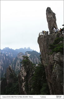 黄山最新动态，壮丽风光与活动盛宴