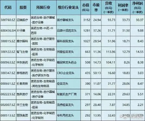 医药鞋制品上市公司排名揭晓，行业深度洞察与未来前景展望