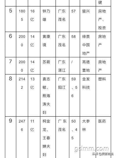 钦州富豪榜前十揭晓，财富背后的传奇故事大揭秘