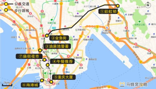 惠州旅游攻略大揭秘，探索城市魅力与精华景点地图全解析
