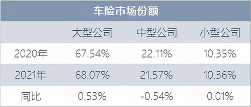 平湖羽绒服全球市场份额排名深度解析