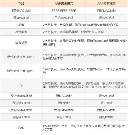 安德烈·利索夫全球排名深度解析