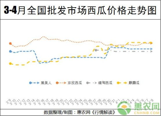 双浦西瓜行情今日最新动态，价格走势与市场趋势揭秘