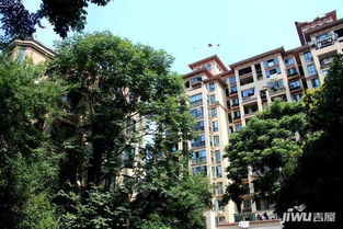 亳州绿地最新动态，城市绿意盎然，发展脉搏强劲