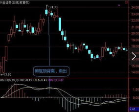 添可股票走势揭秘，最新图表预测未来动向分析