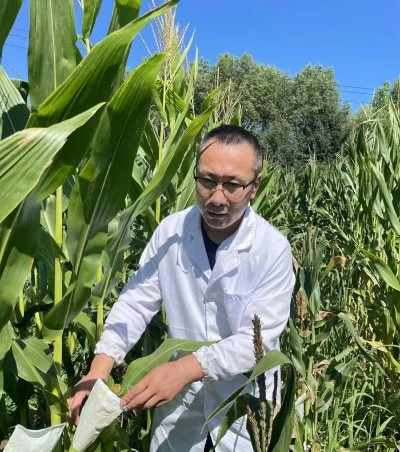 吉林农业科技事件视频揭秘，科技前沿壮丽实践探索