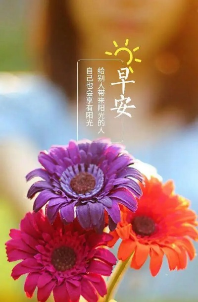 今日早安图语，温馨问候开启美好一天