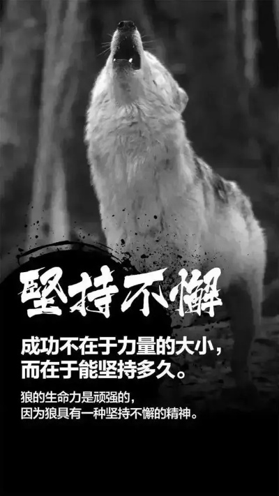 老张情感励志语录，探寻内心力量，唤醒无限潜能