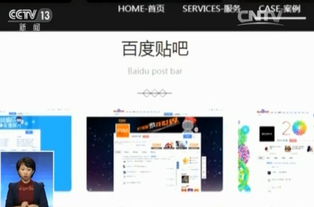 揭秘百度一下X十八背后的真相与深度解析