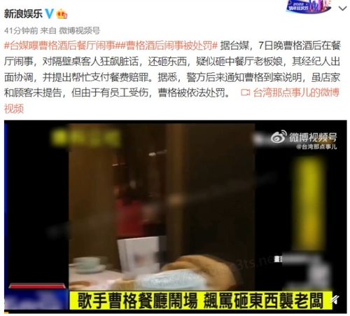 饭馆打架事件揭秘，背后的故事与深度反思，在线视频观看