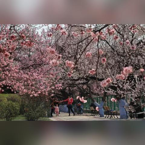 2025年5月27日 第23页