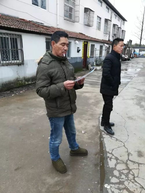 菊园疫情最新动态，全面应对，共克时艰