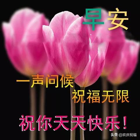 经典早安励志语录，唤醒每一天的力量与希望