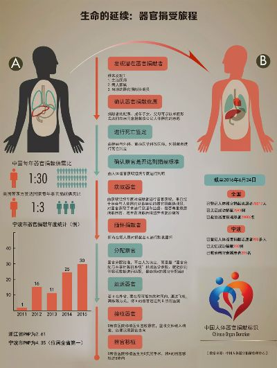 揭秘遗体捐献全球排名背后的故事与深远启示