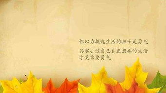 励志阳光语录，追寻光明，勇敢前行学生时代的心灵成长之旅