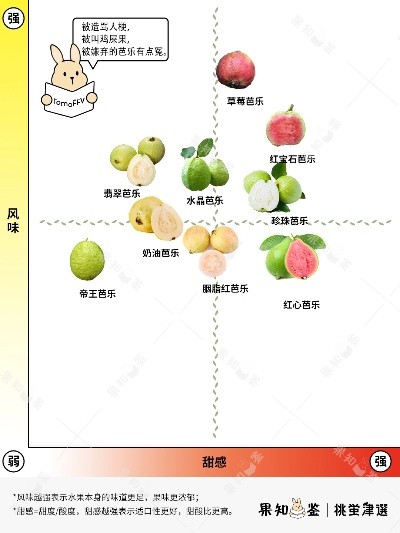 探索番石榴十大美味榜单，健康美味两不误