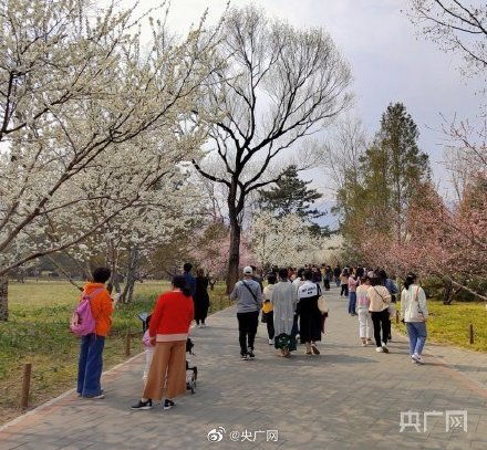清明踏春盛宴，成都深度游玩全攻略！