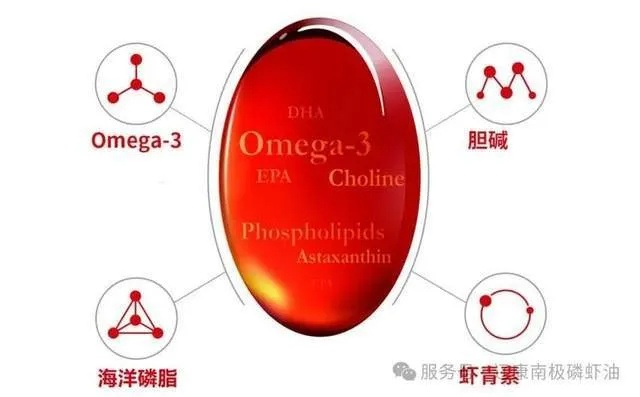揭秘Omega-3，健康奥秘大解密，认识与摄取指南！百度独家解读