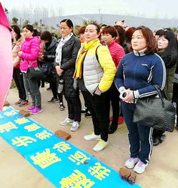 张良镇最新动态揭秘，今日发展蓬勃，消息一网打尽