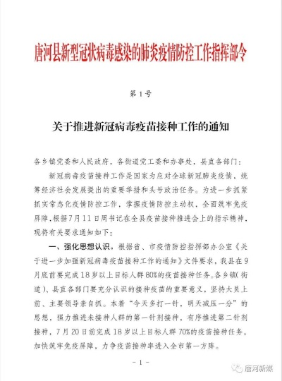 2025年5月29日 第17页