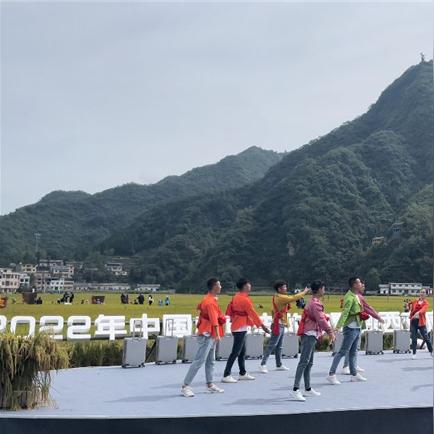 舞蹈励志语录与技巧，视频教程助舞者追梦前行