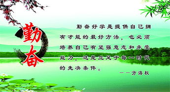 励志修桥铺路名言，奠定人生稳固基石