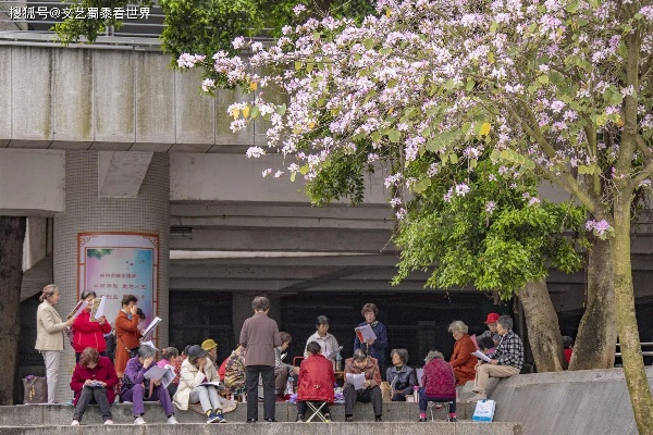 柳州社区新鲜事，城市生活脉搏实录
