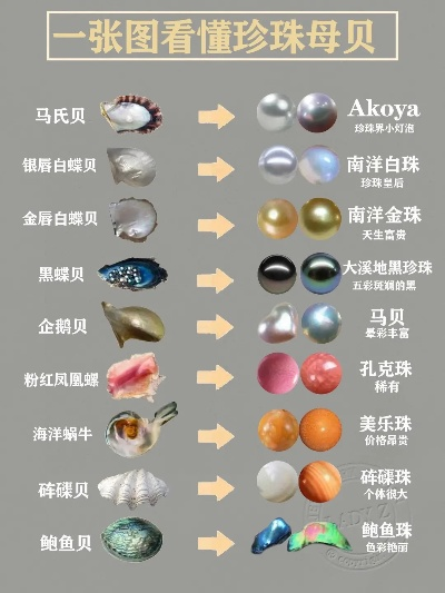 贝壳全球排名大揭秘，海洋之星的璀璨闪耀之旅