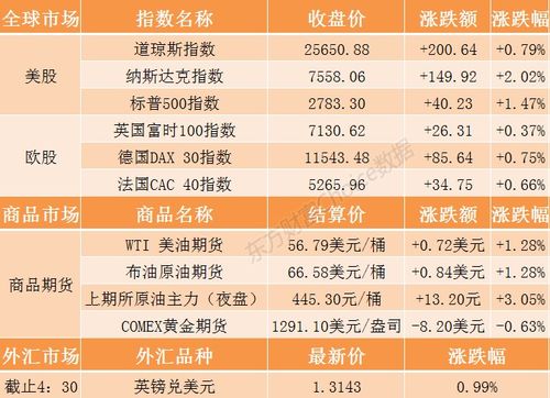 福安今日要闻概览，热点新闻事件全掌握