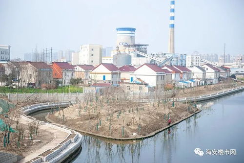林州武家水河治理工程进展更新，最新消息揭秘治理动态