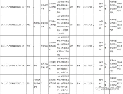 陇南市疫情实时更新，今日最新消息汇总