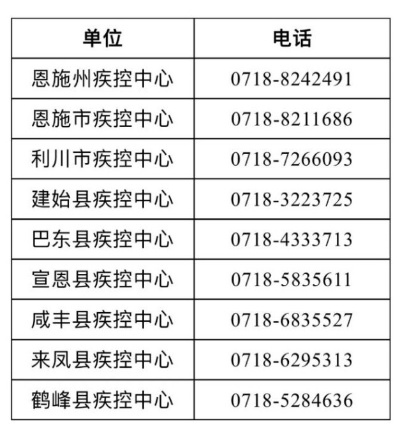 恩施疫情最新消息实时查询，掌握最新动态！