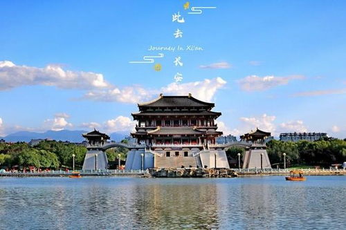 全运会西安旅游全攻略，探索古都的最佳时机！