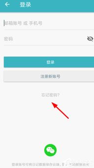 最新密码找回攻略，轻松解决登录密码忘记问题！