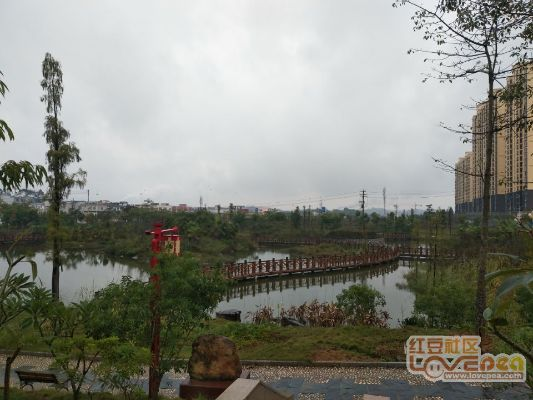宾阳县凤凰湖新发展揭秘，探秘凤凰湖最新动态新闻头条