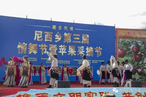 佛山西蕉新闻探秘，地方新闻的魅力与价值