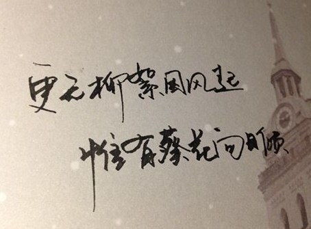 生僻语录励志短句精选，激发无尽潜力的珍藏语句大全